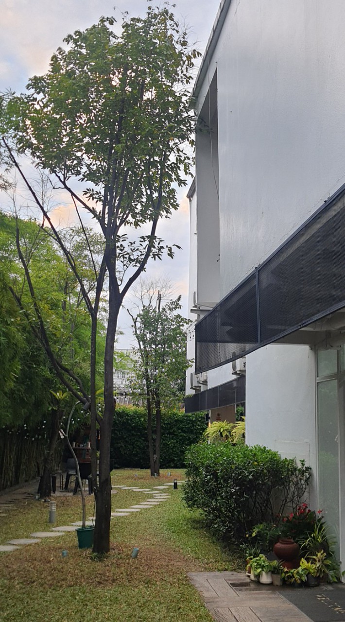 114-2系統理論與生態諮商