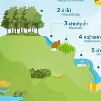 อนุรักษ์ทรัพยากรป่าไม้กรมอุทยานแห่งชาติ สัตว์ป่า และพันธ์พืช