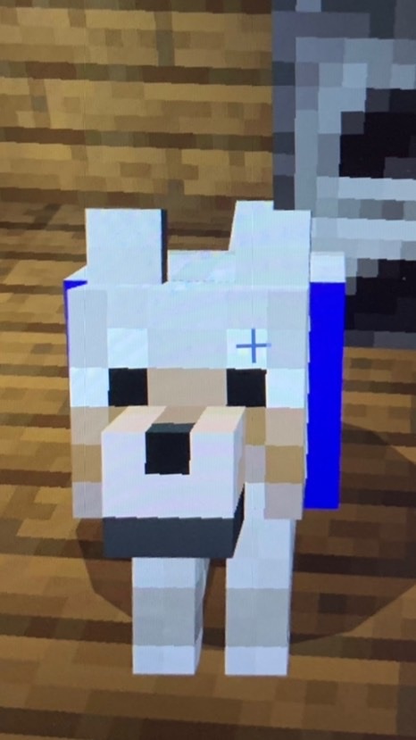 マイクラ《統合版で鬼ごっこ》のオープンチャット