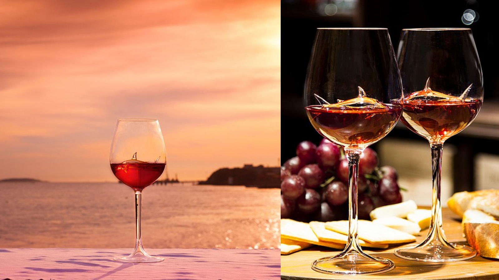 鯊魚紅酒杯- 經典款