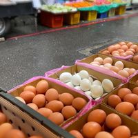 （蛋蛋聯盟）專營 🔹有機紅心蛋🐓放牧土雞蛋🐓養生烏骨雞蛋🐓