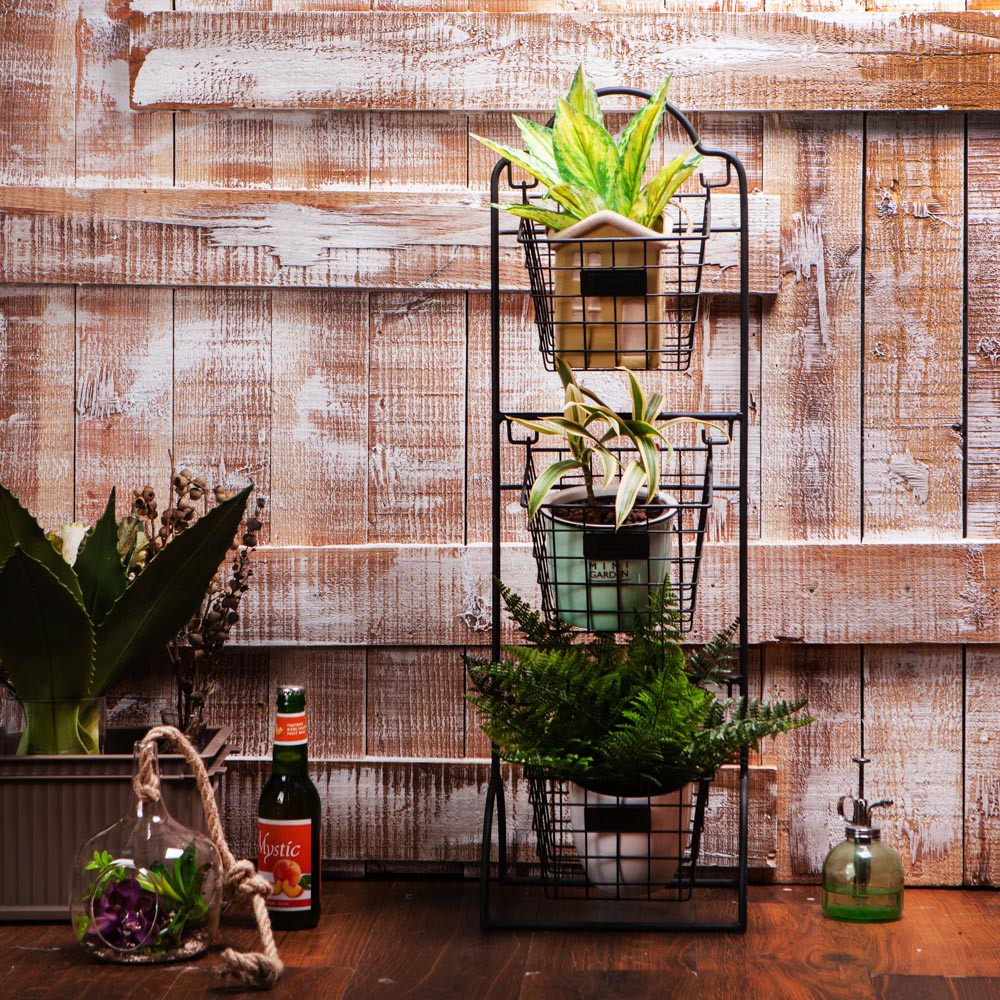#生活工場 #WORKINGHOUSE【產品特色】‧鐵製材質、表面烤漆處理‧可用於庭院、陽台等處，讓空間綠意盎然‧適用於庭園、店面、居家增加自然氣息【商品規格】內容物：置物架*1尺寸：長 27.5 x