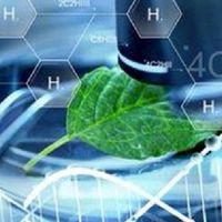 臨床研究 共好社團