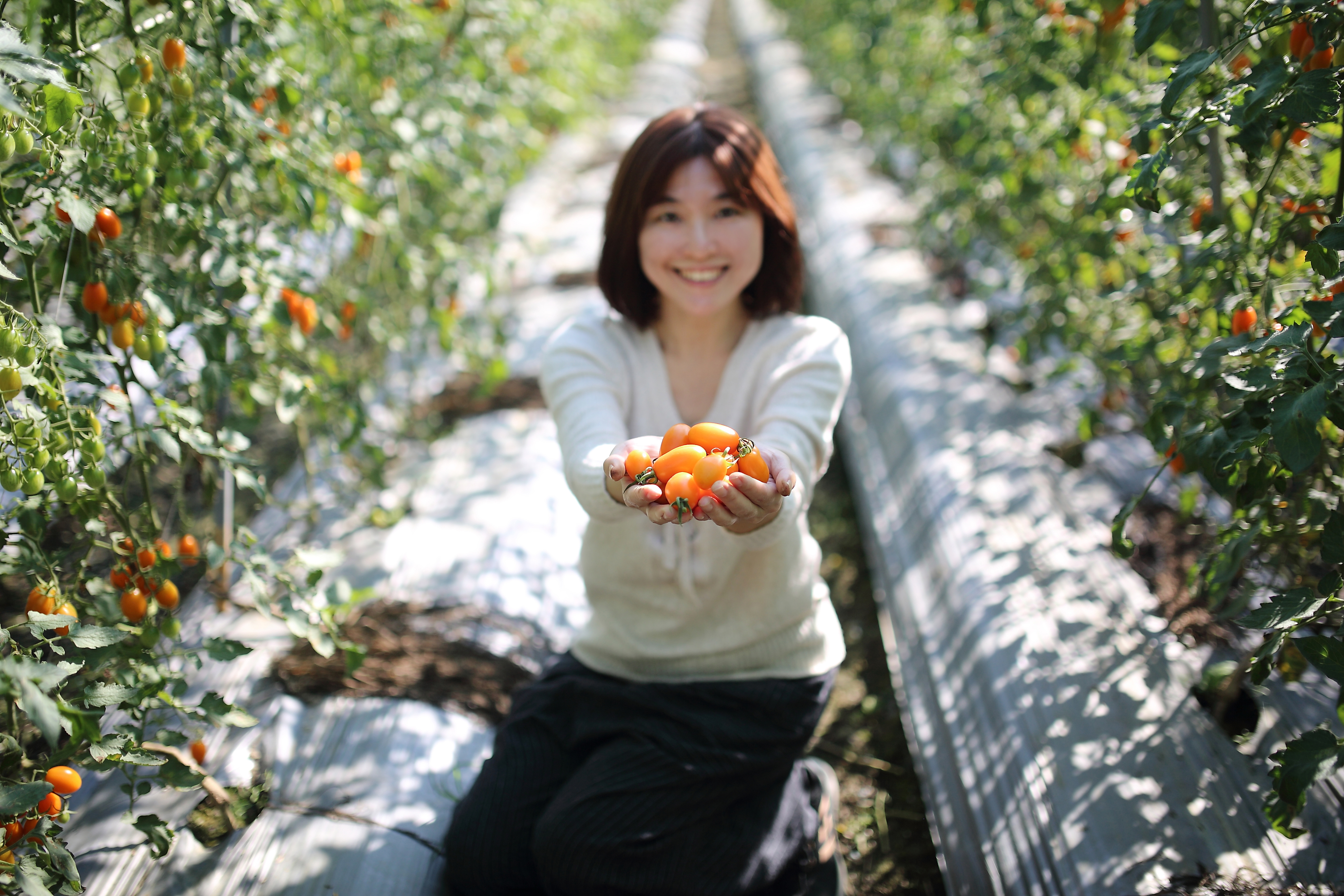 體驗親手摘番茄的樂趣，順便拍著夢幻網美照！(攝影/Carter)