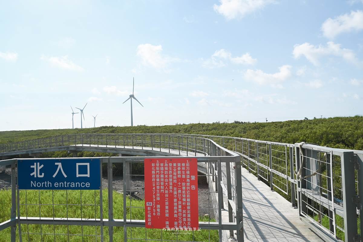 體驗全台唯一「海牛採蚵」！彰化芳苑１日遊必訪６亮點，海鮮控爽吃烤蚵大餐