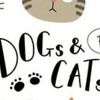 自分の家で飼ってるペット見せ合おー