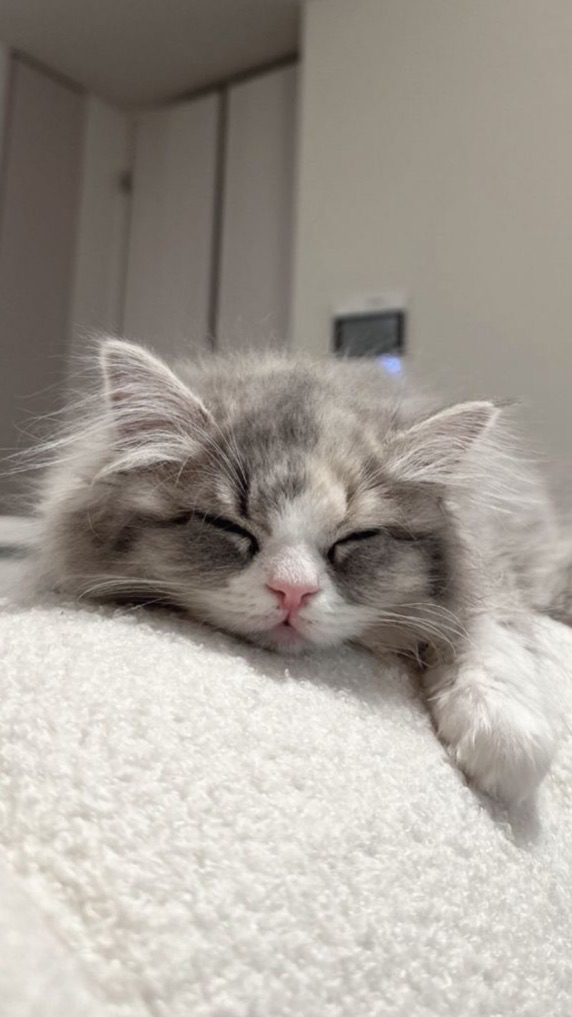 非リア･リア充おいで〜‼️