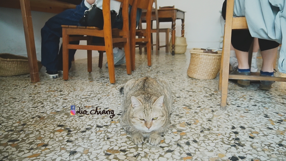 來森下午茶-甜點-咖啡-寵物C0718T01Liz chiang 栗子醬-美食部落客-料理部落客