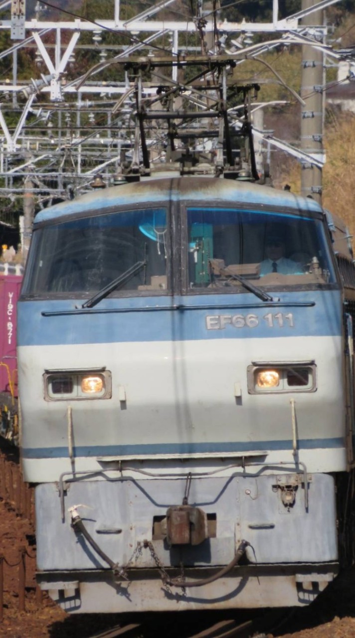 静岡県の鉄道・バスについて