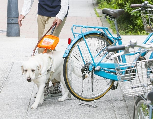 盲導犬の受け入れ拒否 コロナ禍でも いつも利用していた店で 外につないでおいて