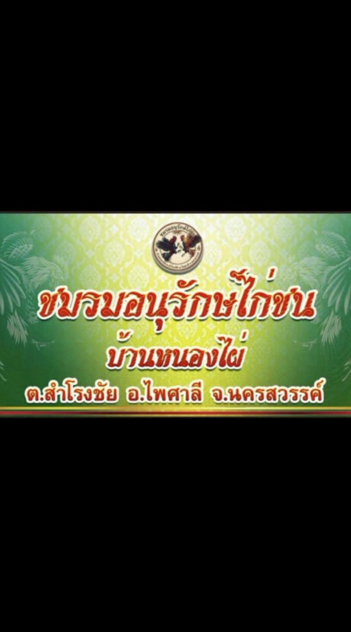 ชมรมอนุรักษ์ไก่ชนบ้านหนองไผ่