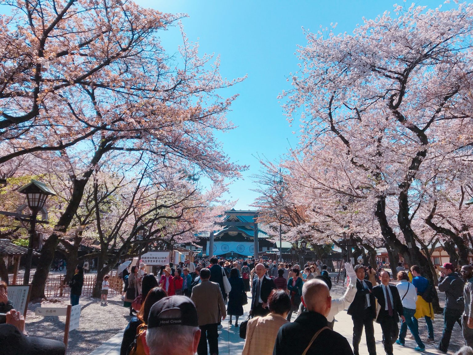 皇居旁感受櫻花「大爆炸」！千鳥之淵、北之丸公園、靖國神社絕美櫻景