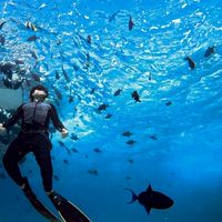 YoPhuket