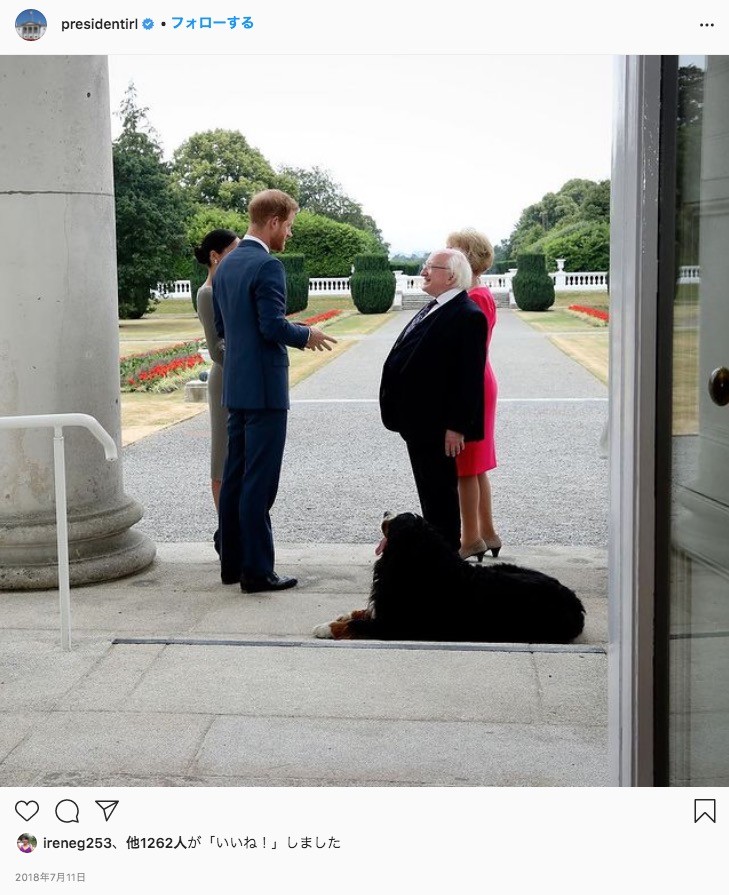 アイルランド大統領 生後6か月の子犬に甘噛みされながらも真顔で会見を続ける 動画あり