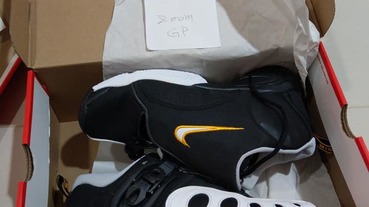 網友 王順民 鞋評 / Nike Zoom GP