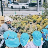 ふかえグリーンズ
