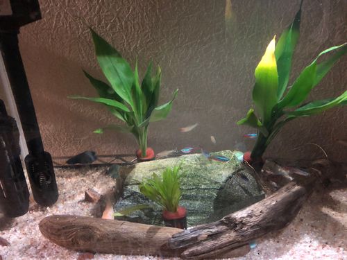 Line Place グルメ 地域のおすすめスポット検索 投稿サービス 検索