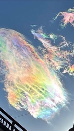 彩雲流派S16