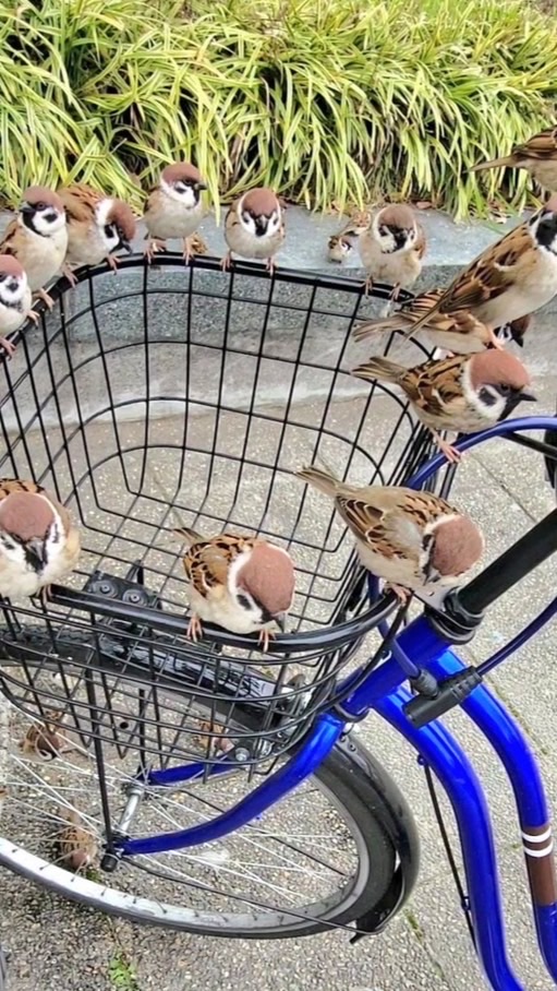 みんな奴隷か貴族になろ〜