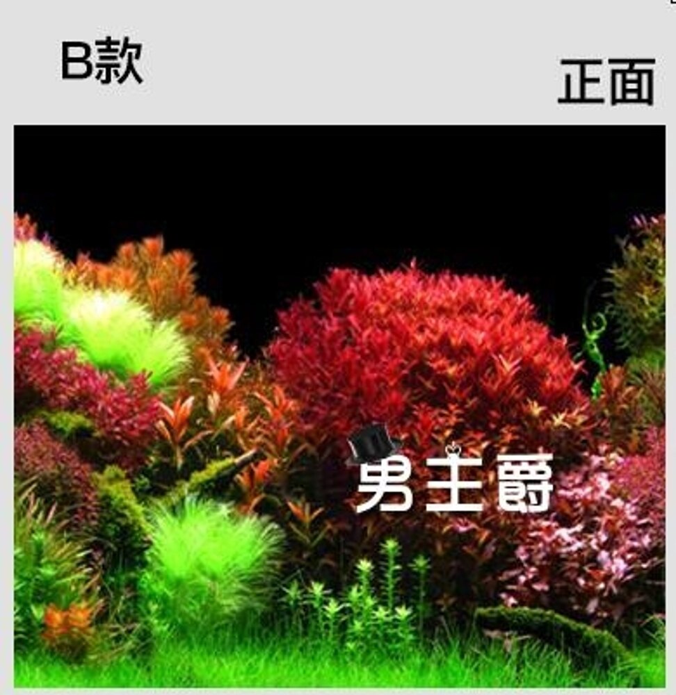 水族箱魚缸壁紙背景圖背景畫背景紙貼紙背景高清背景板壁畫雙面XW