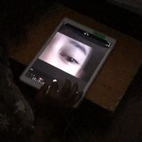 羊文学部