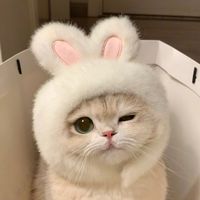 處閨/聊天/追Kpop歡迎加入