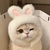 處閨/聊天/追Kpop歡迎加入
