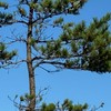 夏休みの宿題に手をつけてない人はこちらに…..