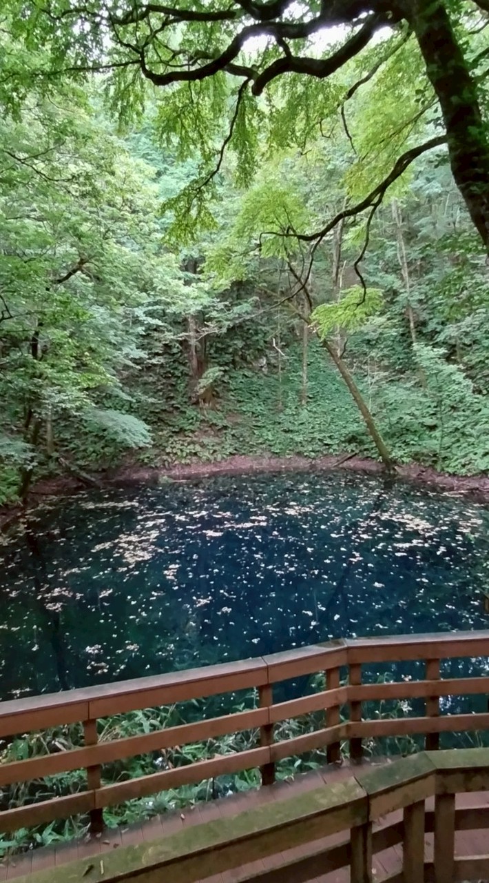 青森 三八コミュ
