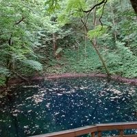 青森 三八コミュ