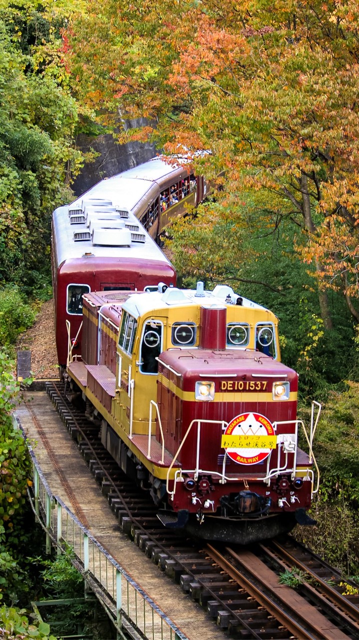 [KTG]地方のローカル線好き( ˙꒳​˙ᐢ )ｶﾓﾝ