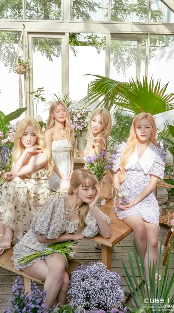 i-dle 花園🪻