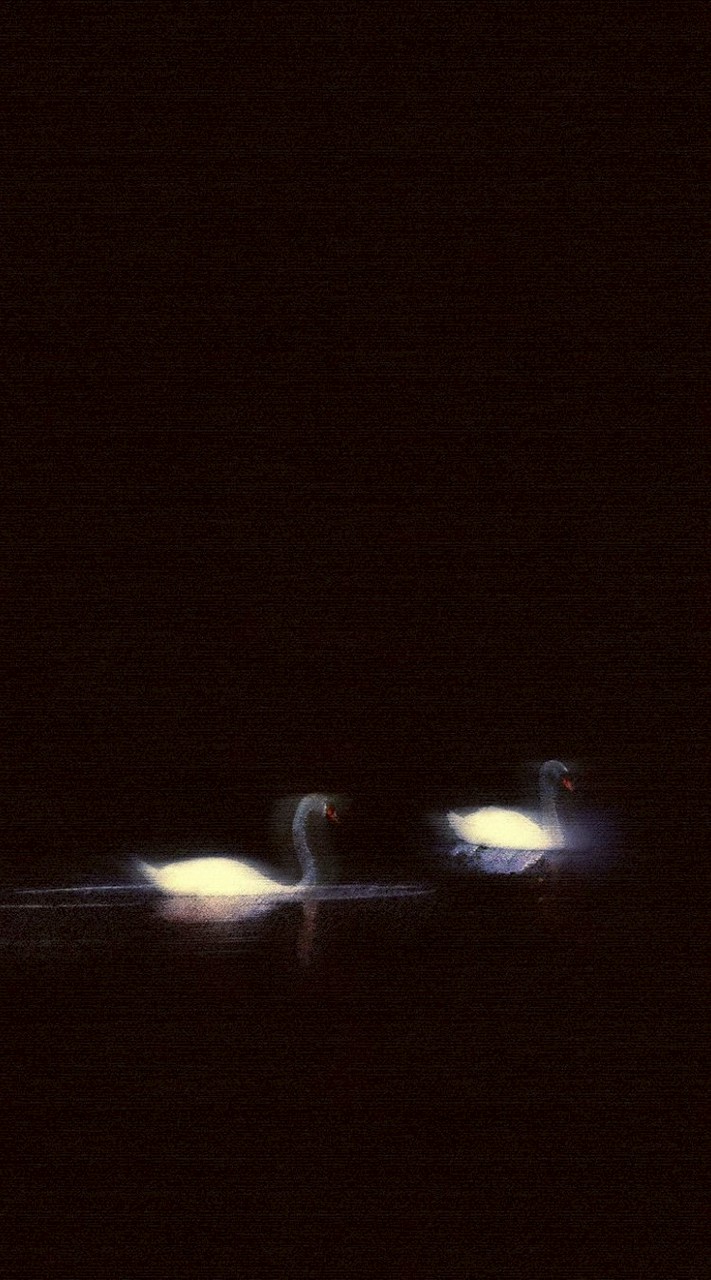 ꜱᴛᴀɴᴅ ᴡ² ᴍᴇ