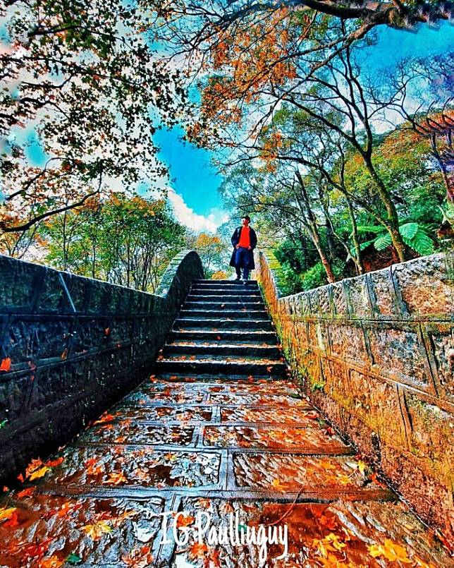 圖片授權：IG @paulliuguy