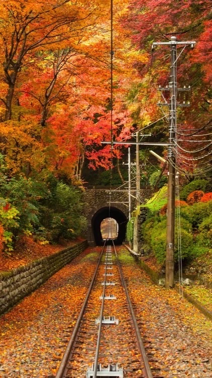 ミドルCAFE＠広島、岡山、山口（40代〜60代限定・交流オフ会）