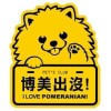 松鼠博美狗狗家族 CHINESE Pomeranian FAMILY