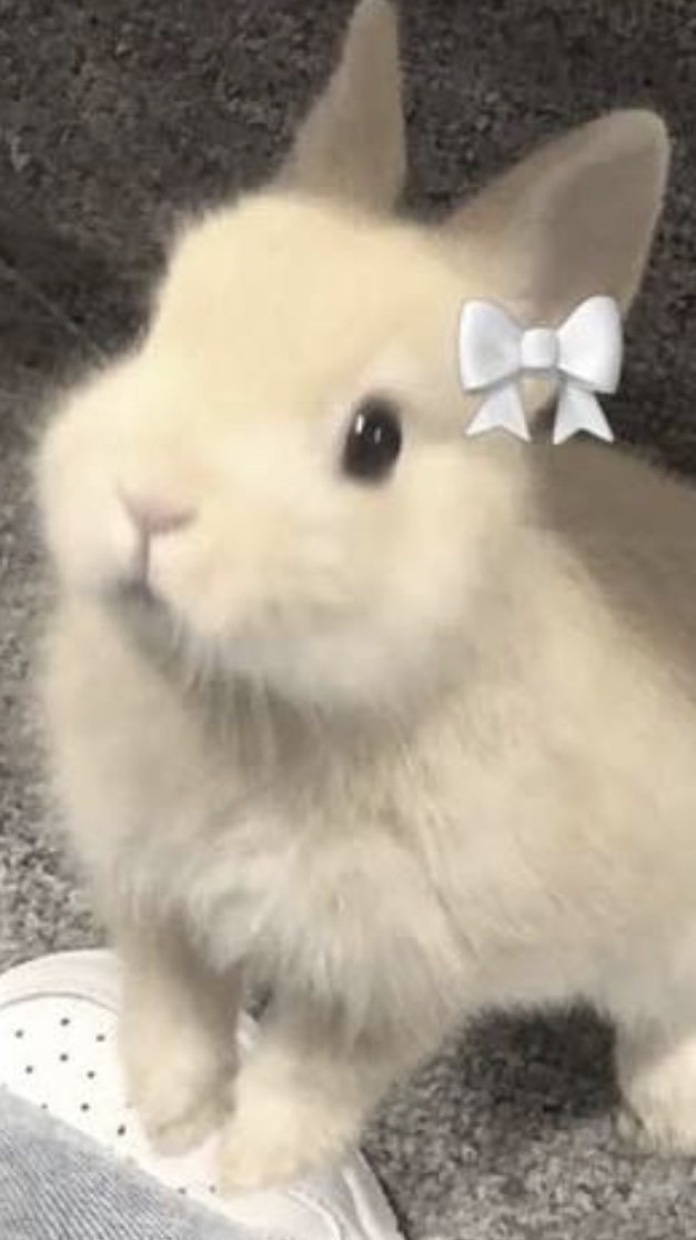 ห้องอบรมนักเรียน/สภา/คุณครู/ศิลปินเกาหลี