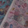 ガチ勢と🦄☁の情報最速‼️京都シール