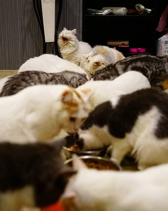 （圖片來源／IG @ron_dreamwalker）