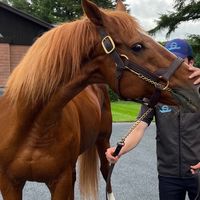 北澤競馬クラブ