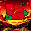 ハナハナ　情報共有🌺