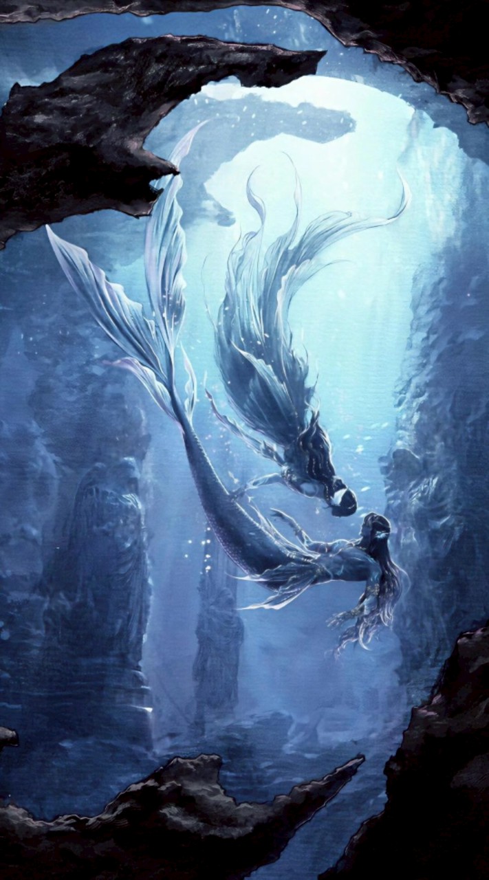 學院 投訴區、意見箱。