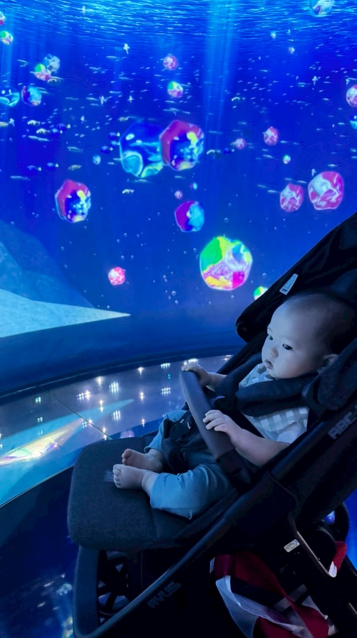 育兒之路-省錢大作戰