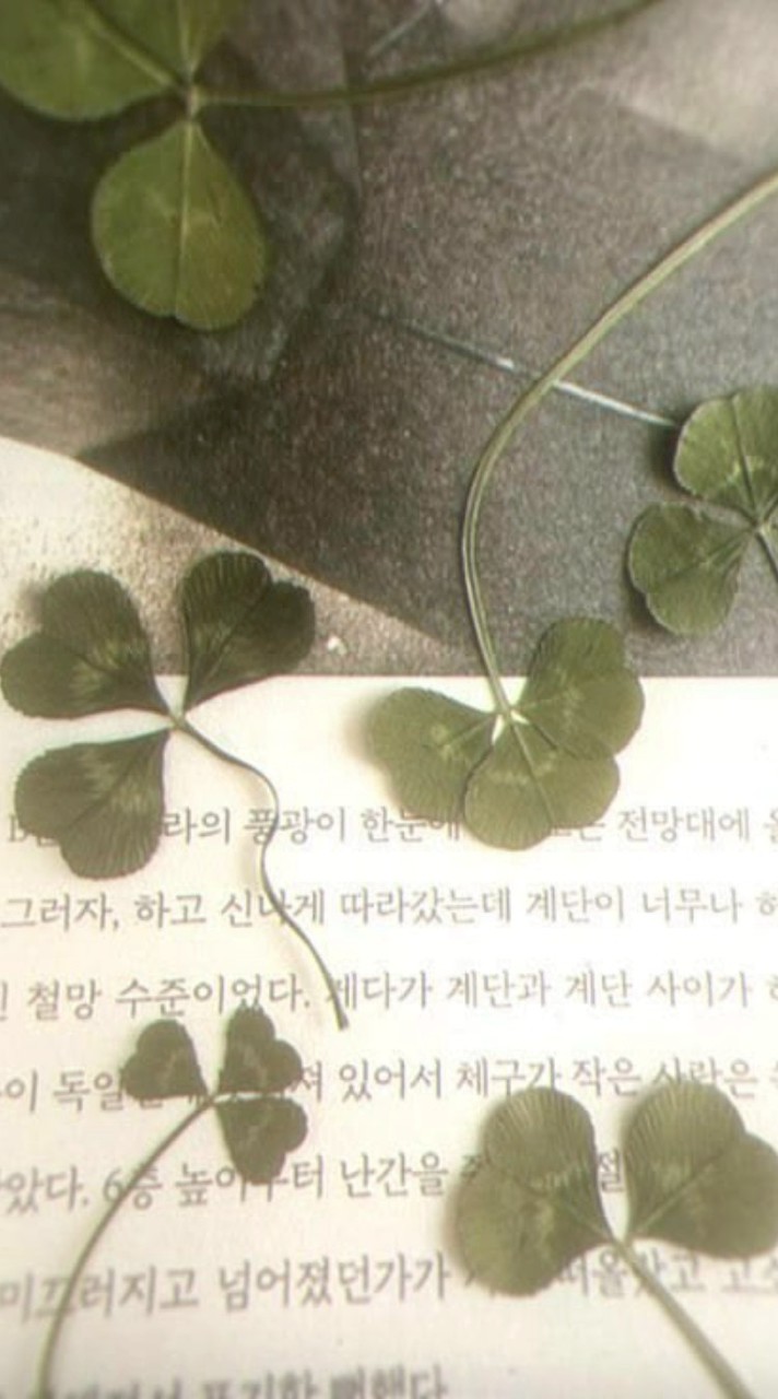 ㌨〪 ׄ ปั้มฟอล/ไลค์ ᑲყ. ოᥱოiᥒᥲ ׄ ❀ ﾟ𐬹ׄ