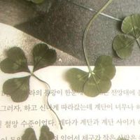 ㌨〪 ׄ ปั้มฟอล/ไลค์ ᑲყ. ოᥱოiᥒᥲ ׄ ❀ ﾟ𐬹ׄ