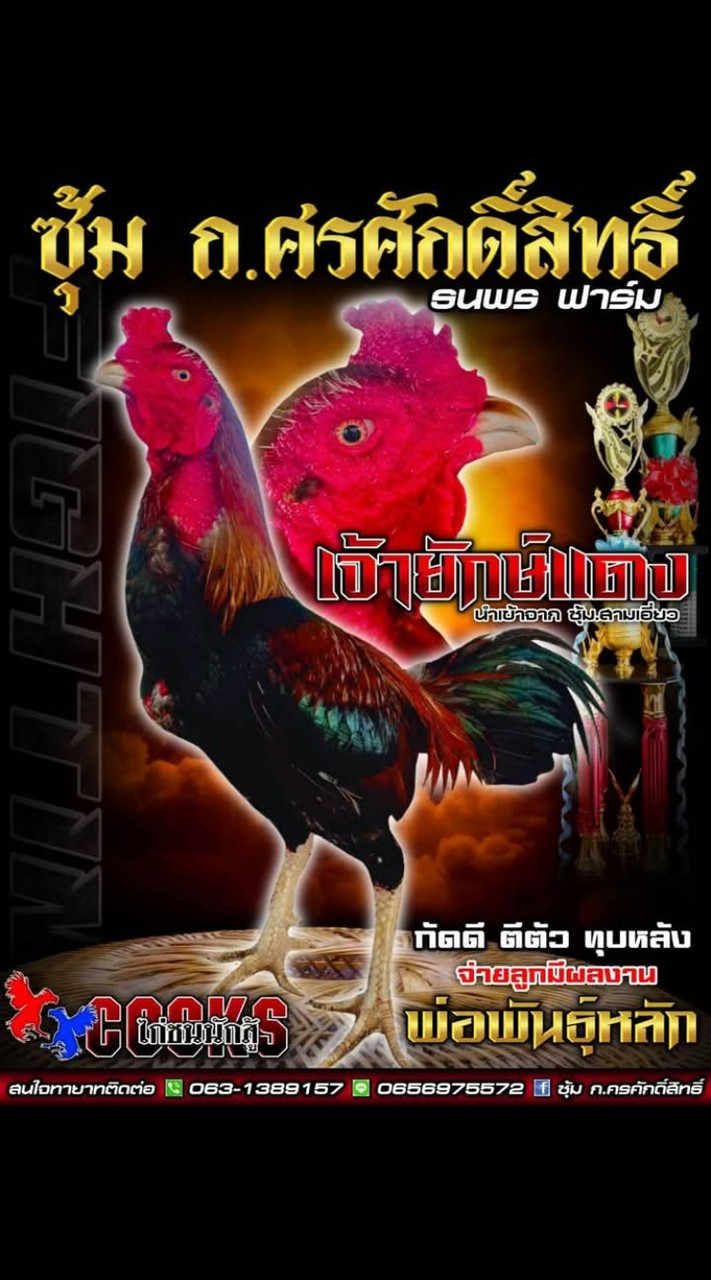 ธนพร ฟาร์ม