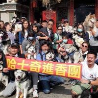 哈士奇進香團