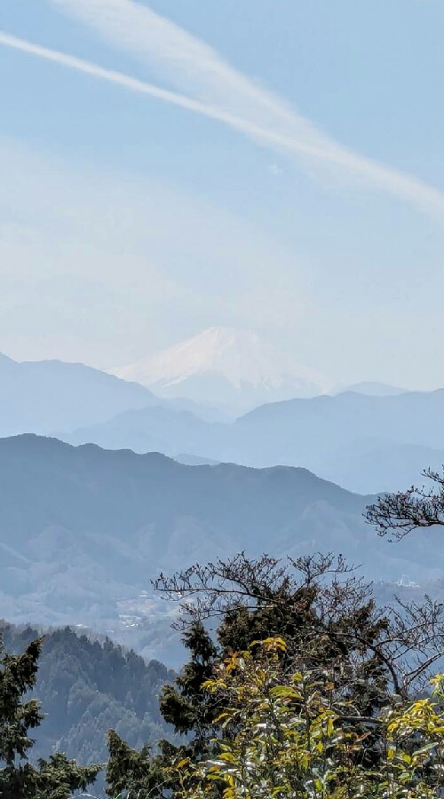 名付け命名の森