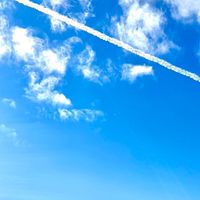 ネ友ぼしゅーちゅー