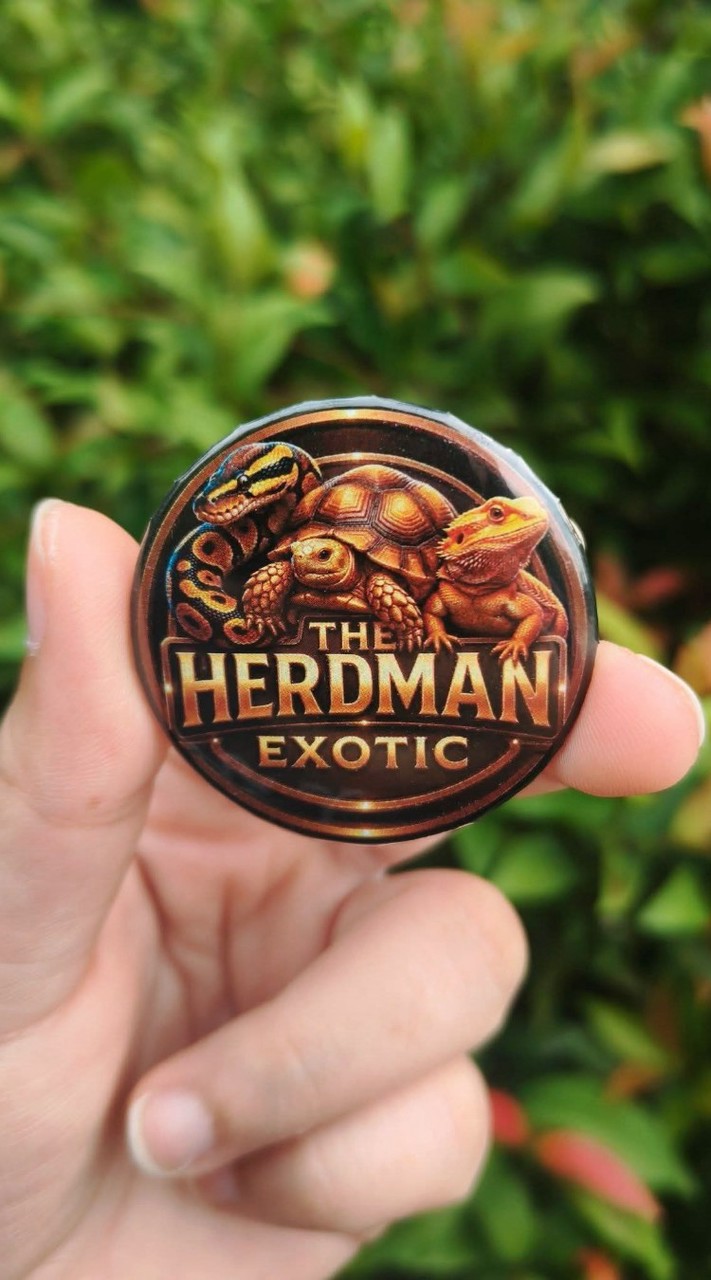 🐢The Herdman Exotic 🐍